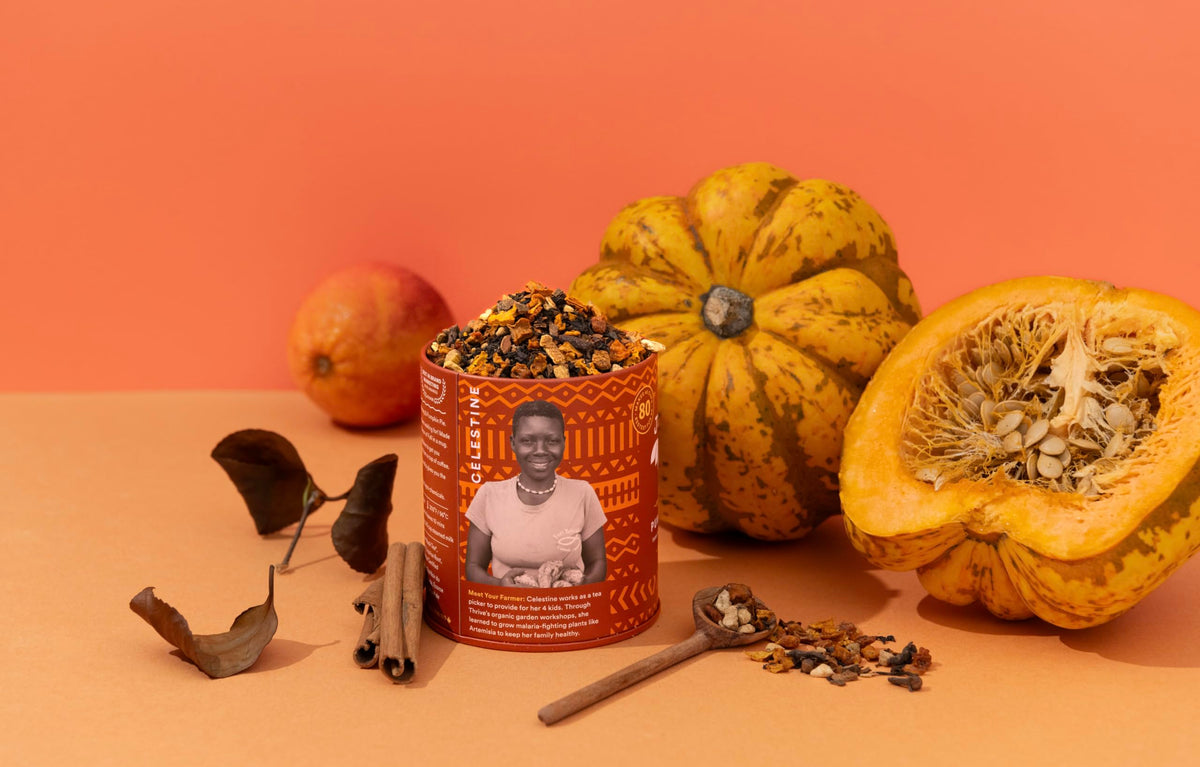 Organic Pumpkin Pie Loose Leaf Tea – 4.2 oz