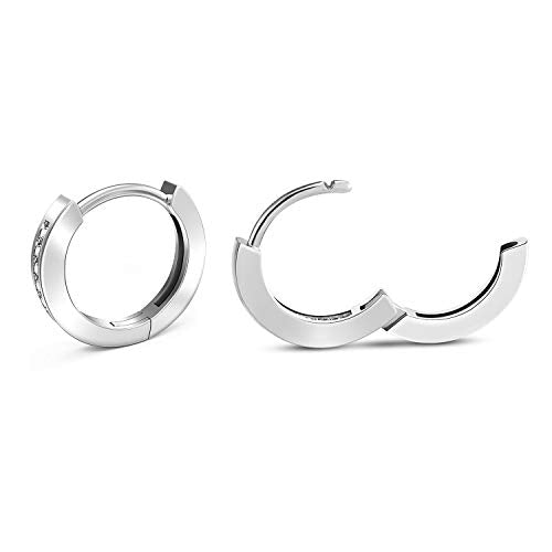 Small Huggie Hoop Earrings (Silver)