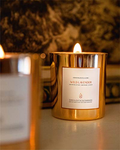 Premium Long Burning Candle - Wild Lavender