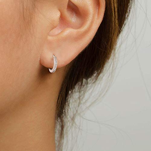 Small Huggie Hoop Earrings (Silver)