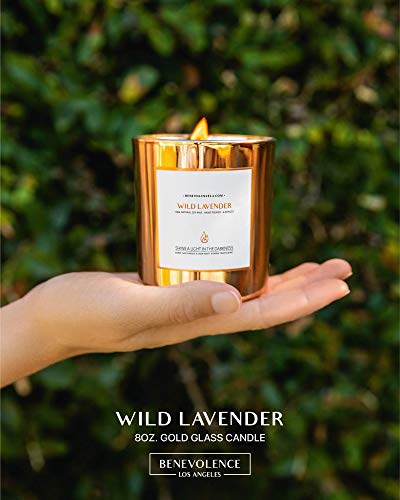 Premium Long Burning Candle - Wild Lavender