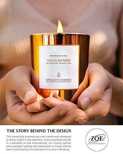 Premium Long Burning Candle - Wild Lavender
