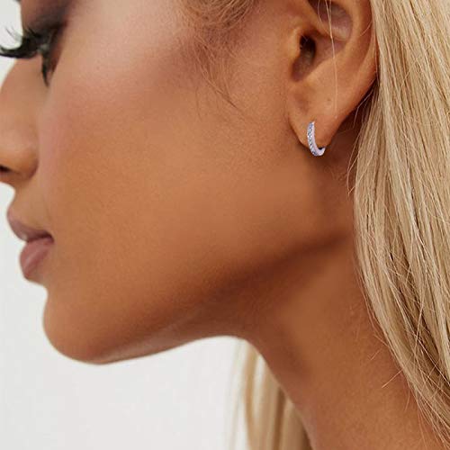 Small Huggie Hoop Earrings (Silver)