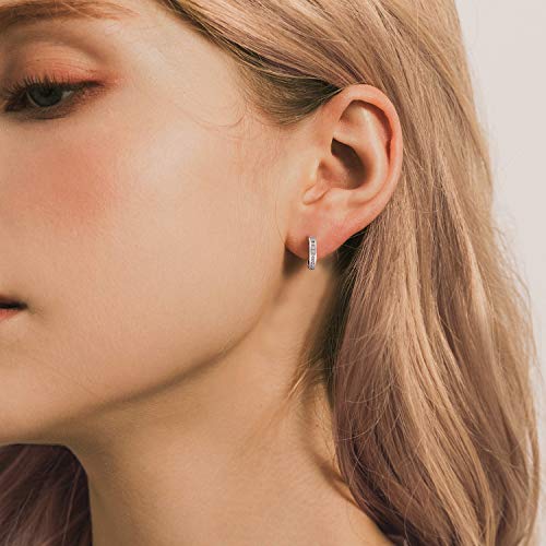 Small Huggie Hoop Earrings (Silver)